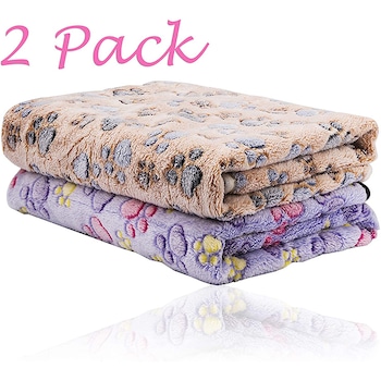 E-Comm: Just 21 Cute Things to Celebrate National Puppy Day